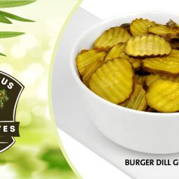 burger dill gherkins