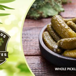whole pickle gherkins